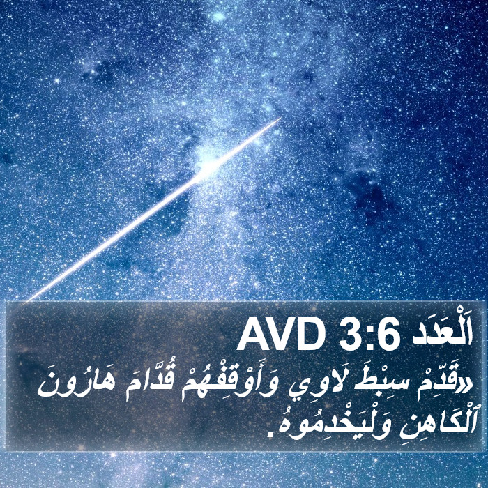 اَلْعَدَد 3:6 AVD Bible Study