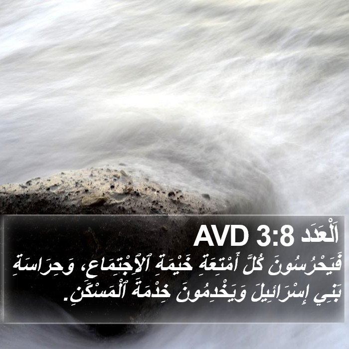 اَلْعَدَد 3:8 AVD Bible Study