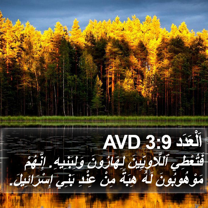 اَلْعَدَد 3:9 AVD Bible Study