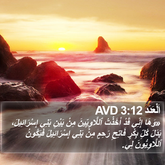 اَلْعَدَد 3:12 AVD Bible Study