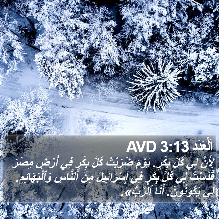 اَلْعَدَد 3:13 AVD Bible Study