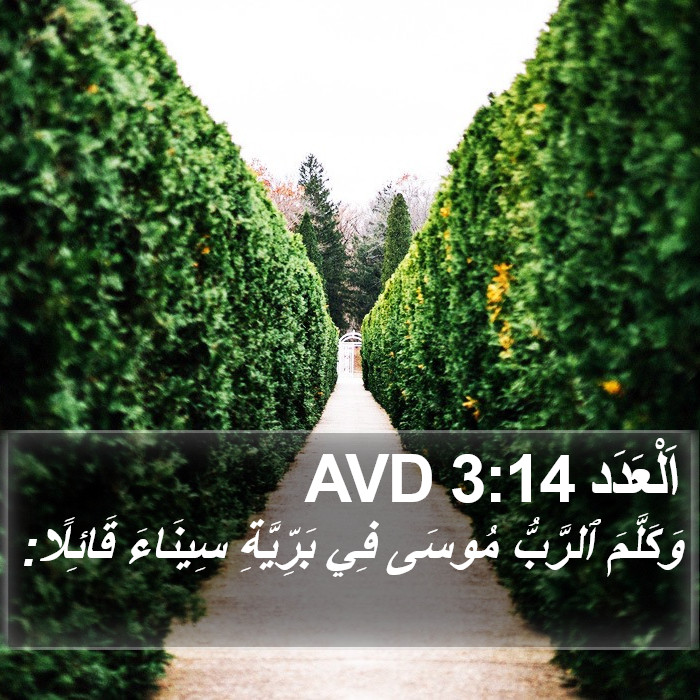 اَلْعَدَد 3:14 AVD Bible Study