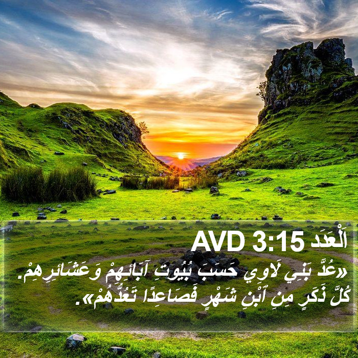 اَلْعَدَد 3:15 AVD Bible Study