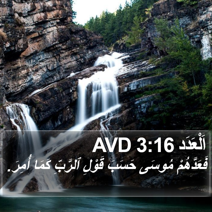 اَلْعَدَد 3:16 AVD Bible Study