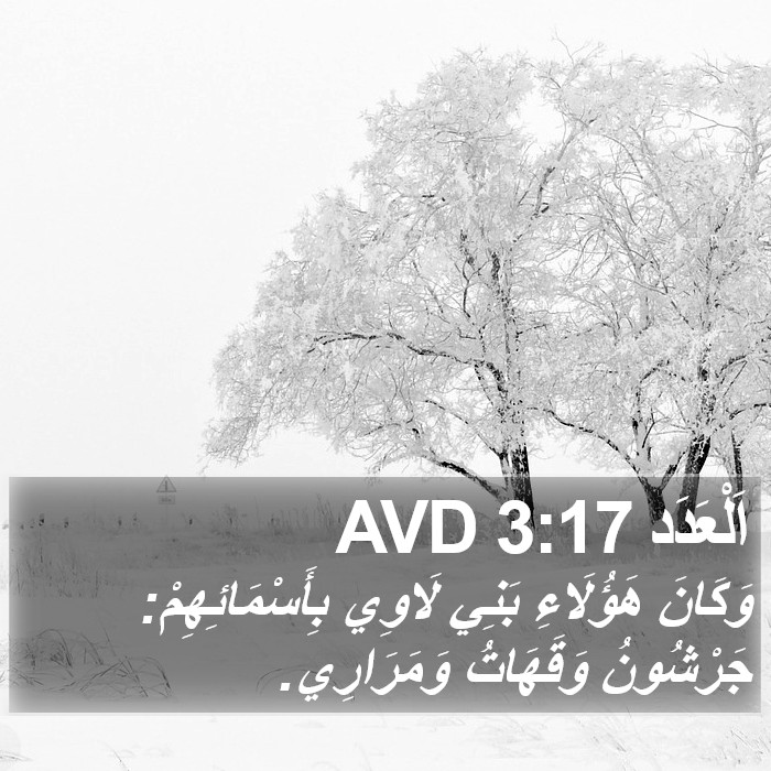 اَلْعَدَد 3:17 AVD Bible Study