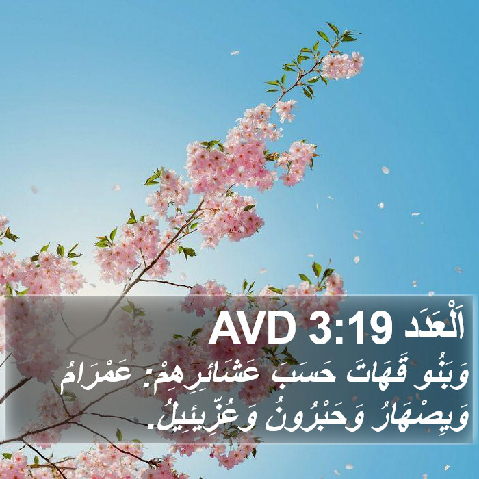 اَلْعَدَد 3:19 AVD Bible Study