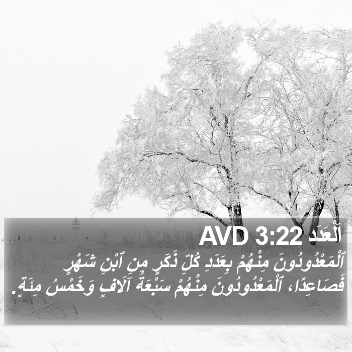 اَلْعَدَد 3:22 AVD Bible Study