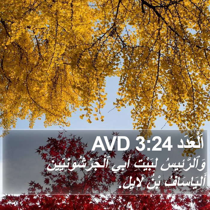 اَلْعَدَد 3:24 AVD Bible Study