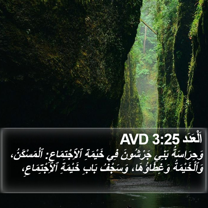 اَلْعَدَد 3:25 AVD Bible Study