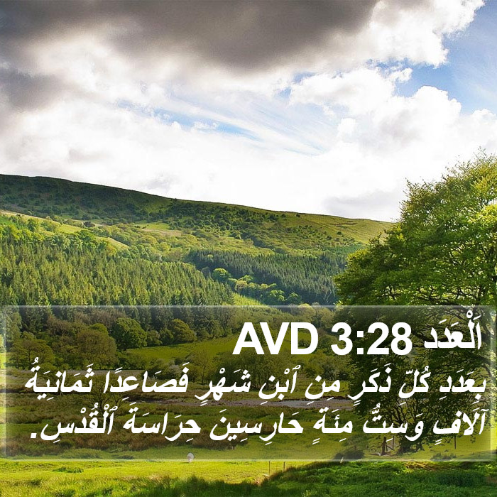 اَلْعَدَد 3:28 AVD Bible Study