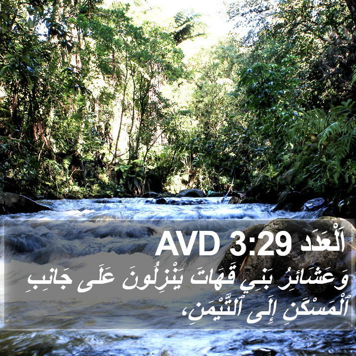 اَلْعَدَد 3:29 AVD Bible Study