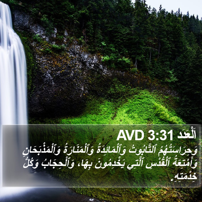 اَلْعَدَد 3:31 AVD Bible Study