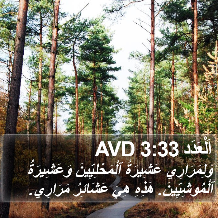 اَلْعَدَد 3:33 AVD Bible Study