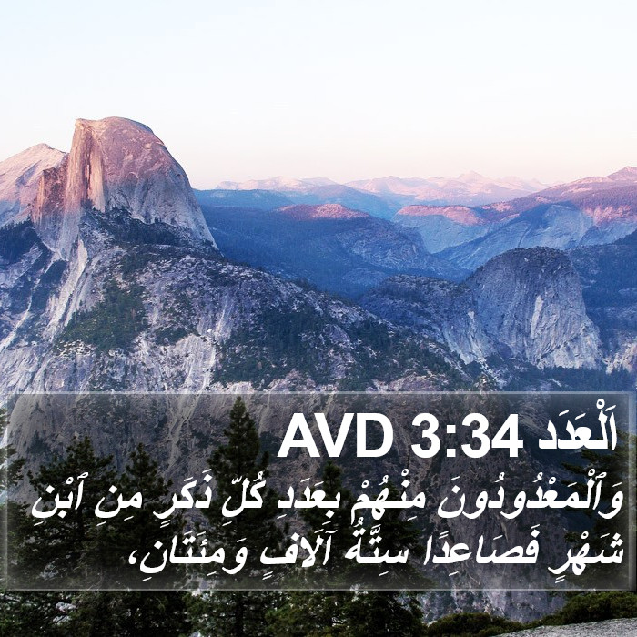 اَلْعَدَد 3:34 AVD Bible Study