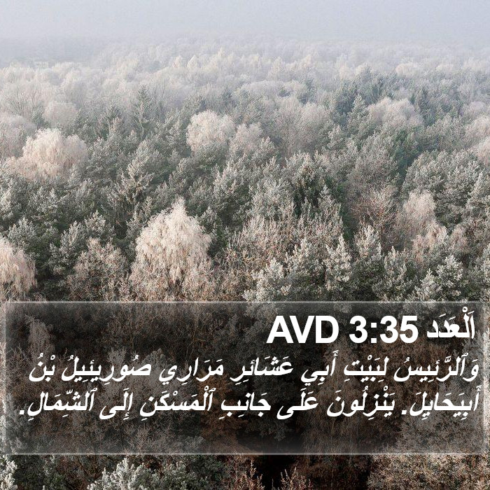 اَلْعَدَد 3:35 AVD Bible Study