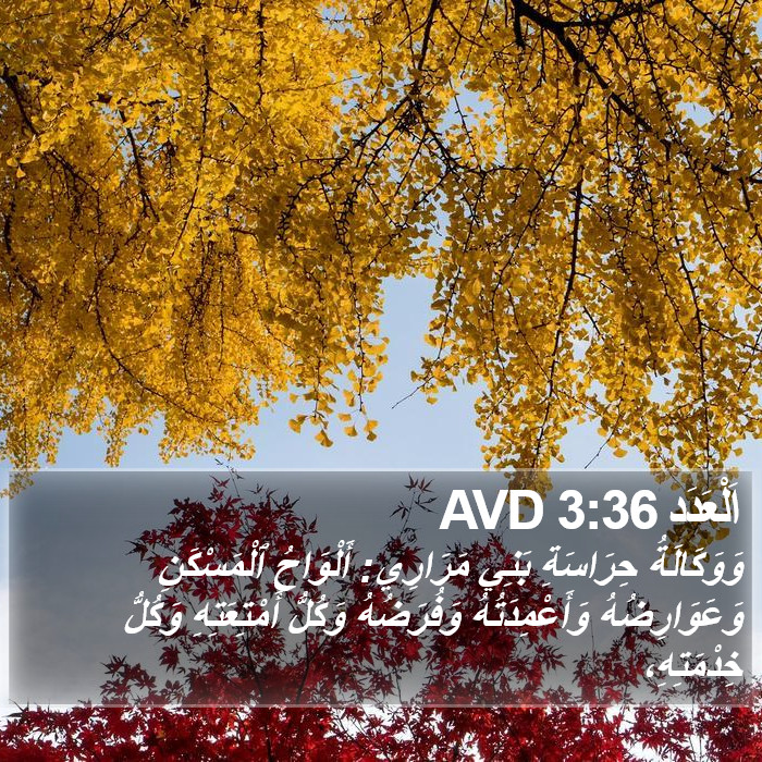 اَلْعَدَد 3:36 AVD Bible Study