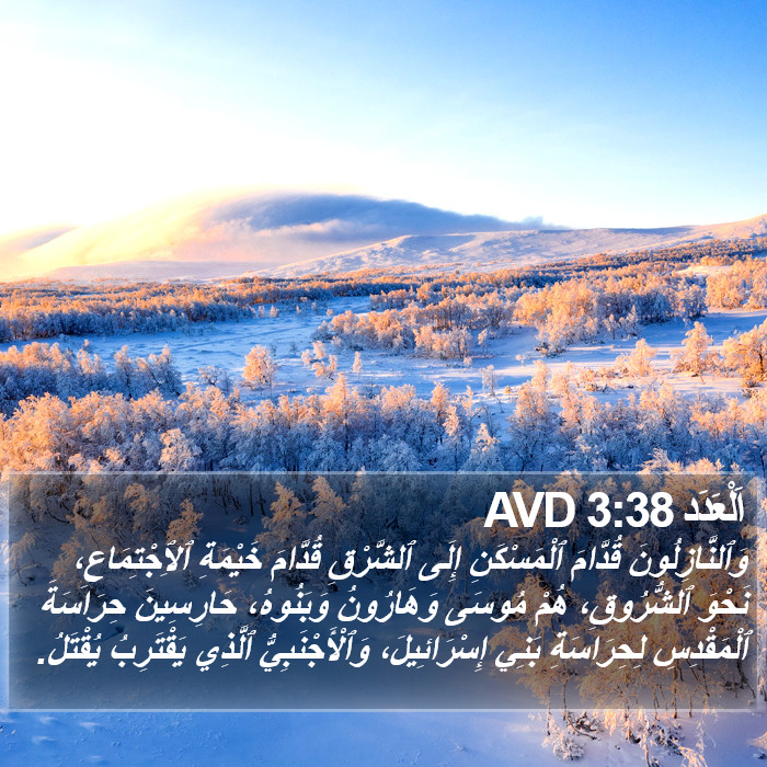 اَلْعَدَد 3:38 AVD Bible Study