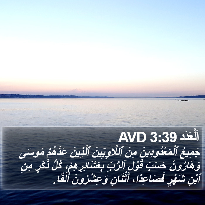 اَلْعَدَد 3:39 AVD Bible Study