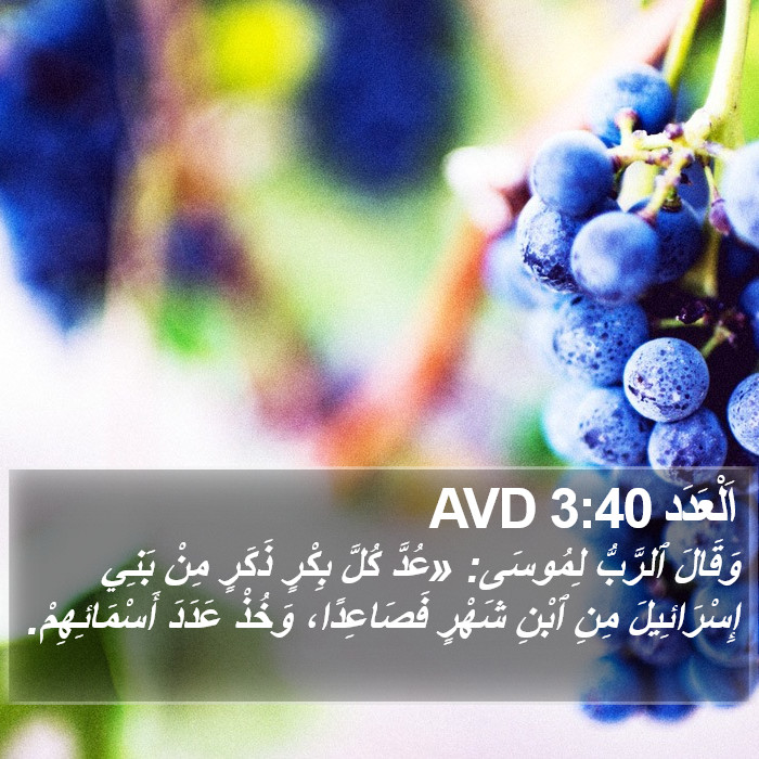 اَلْعَدَد 3:40 AVD Bible Study