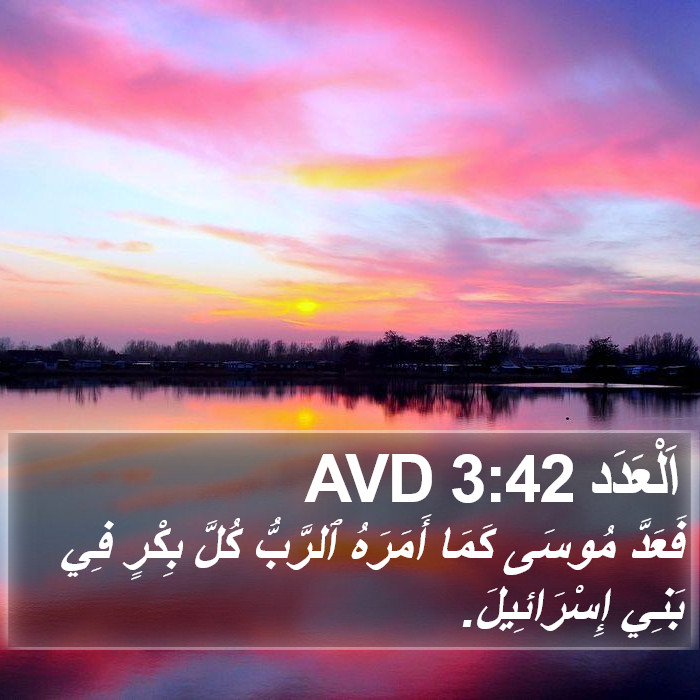 اَلْعَدَد 3:42 AVD Bible Study