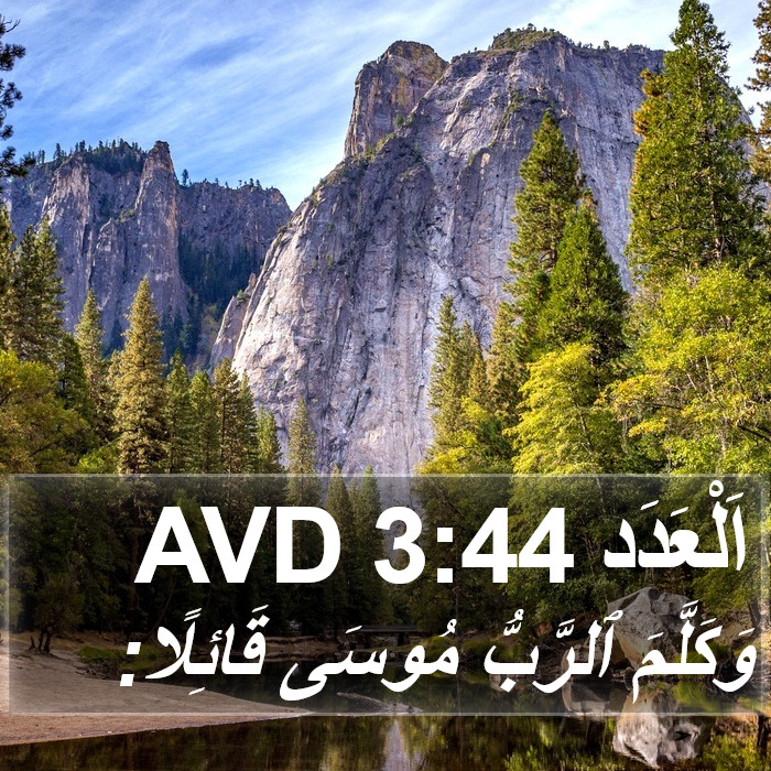 اَلْعَدَد 3:44 AVD Bible Study