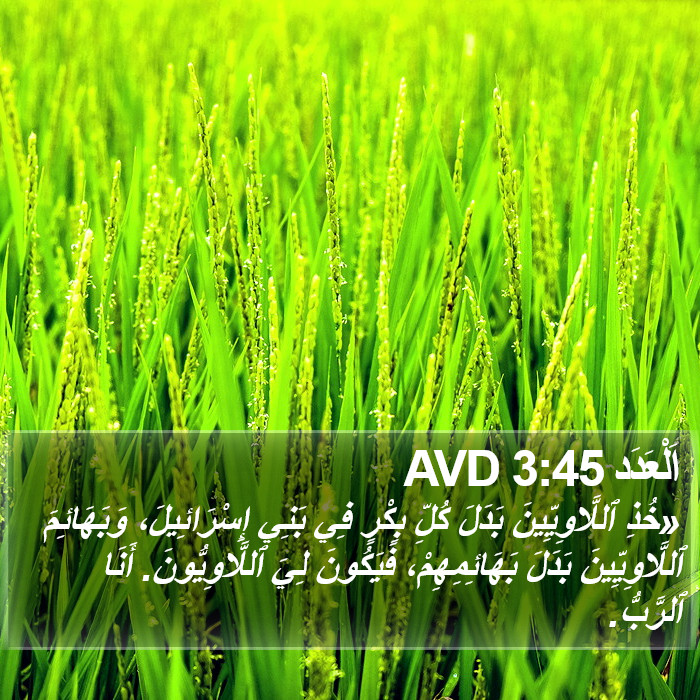 اَلْعَدَد 3:45 AVD Bible Study