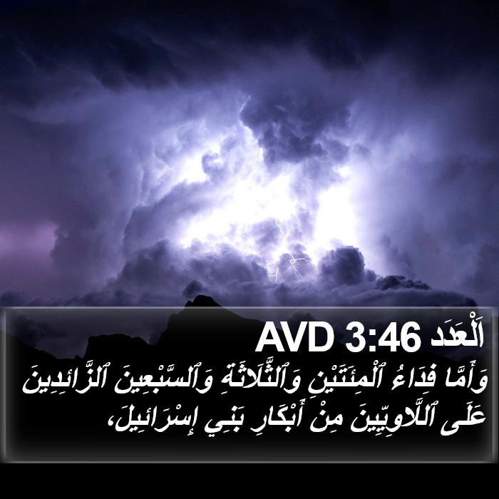 اَلْعَدَد 3:46 AVD Bible Study