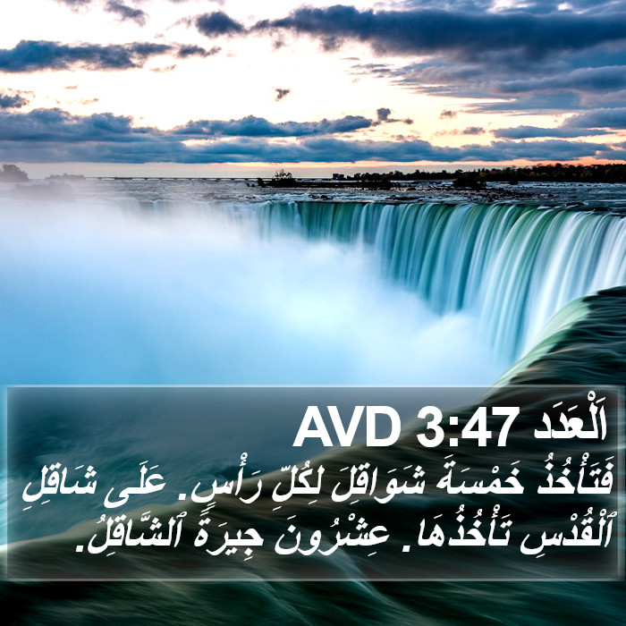 اَلْعَدَد 3:47 AVD Bible Study