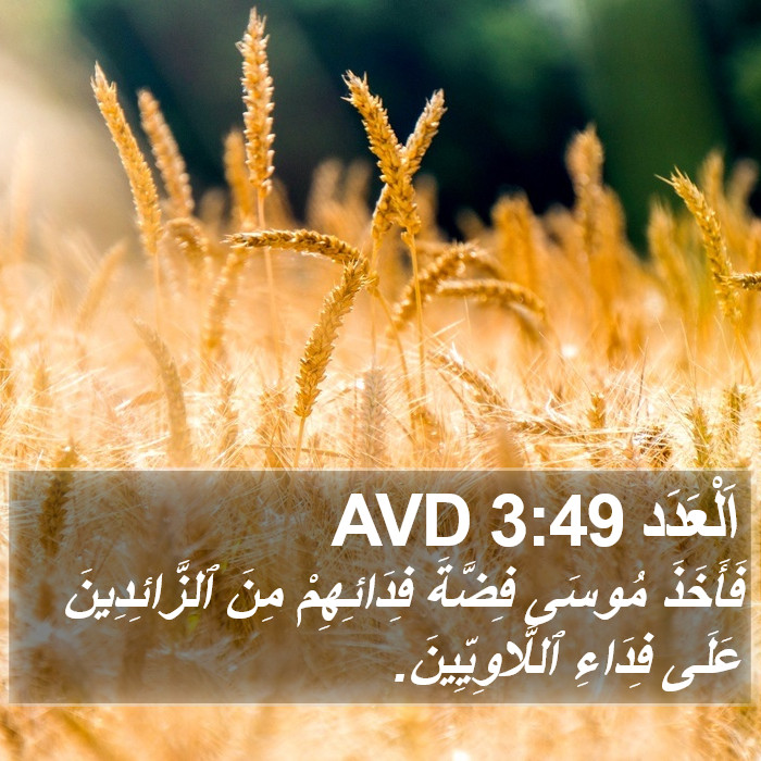 اَلْعَدَد 3:49 AVD Bible Study