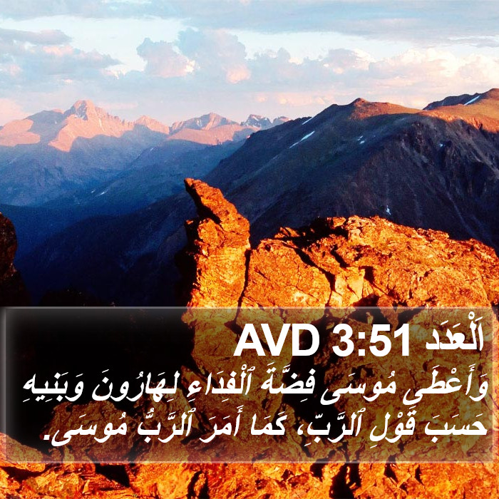 اَلْعَدَد 3:51 AVD Bible Study