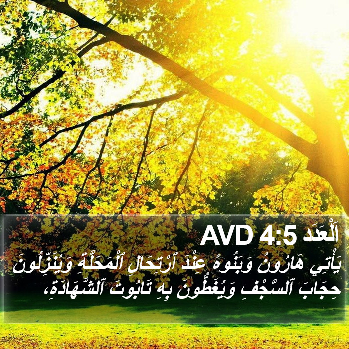 اَلْعَدَد 4:5 AVD Bible Study
