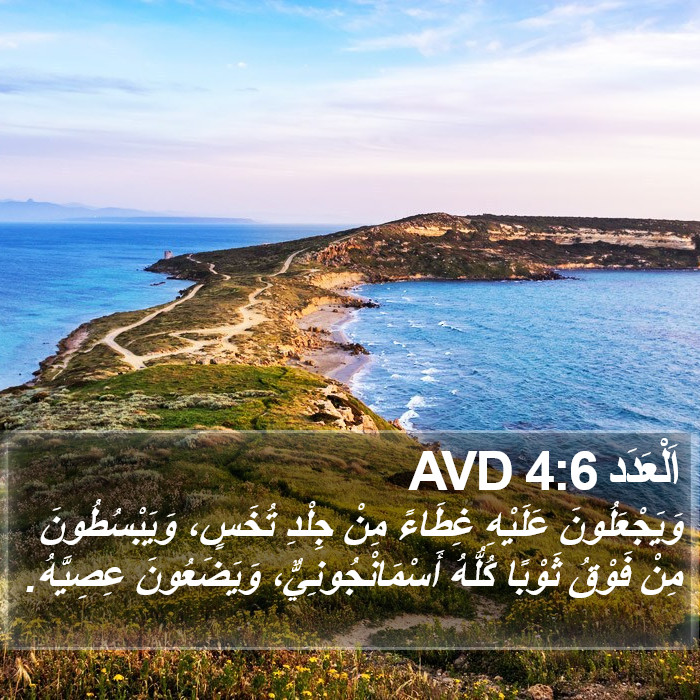 اَلْعَدَد 4:6 AVD Bible Study