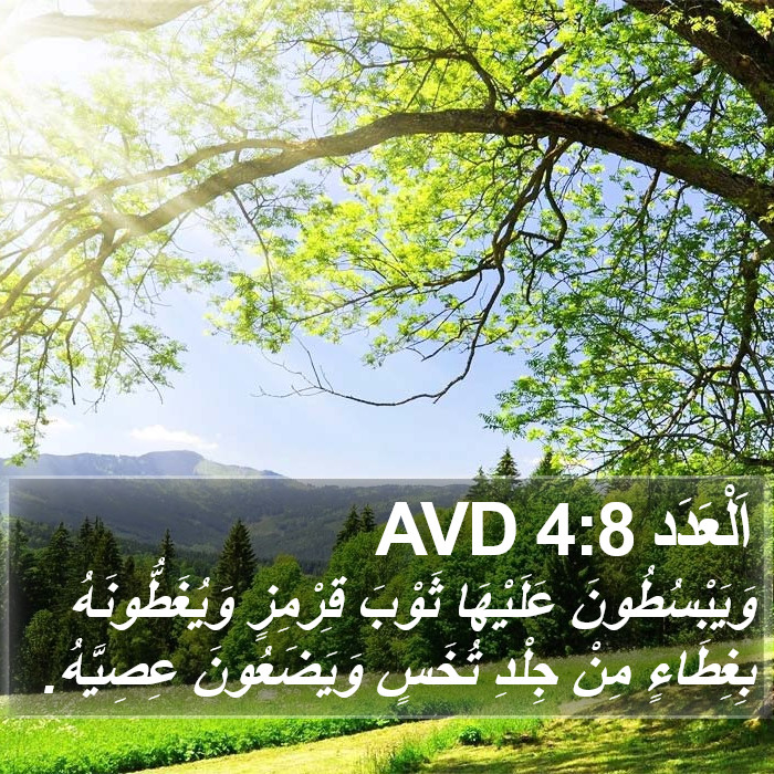 اَلْعَدَد 4:8 AVD Bible Study