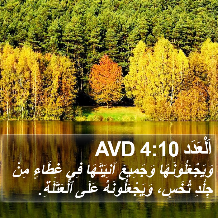اَلْعَدَد 4:10 AVD Bible Study