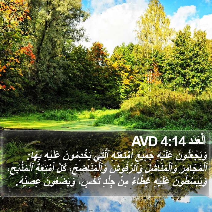 اَلْعَدَد 4:14 AVD Bible Study