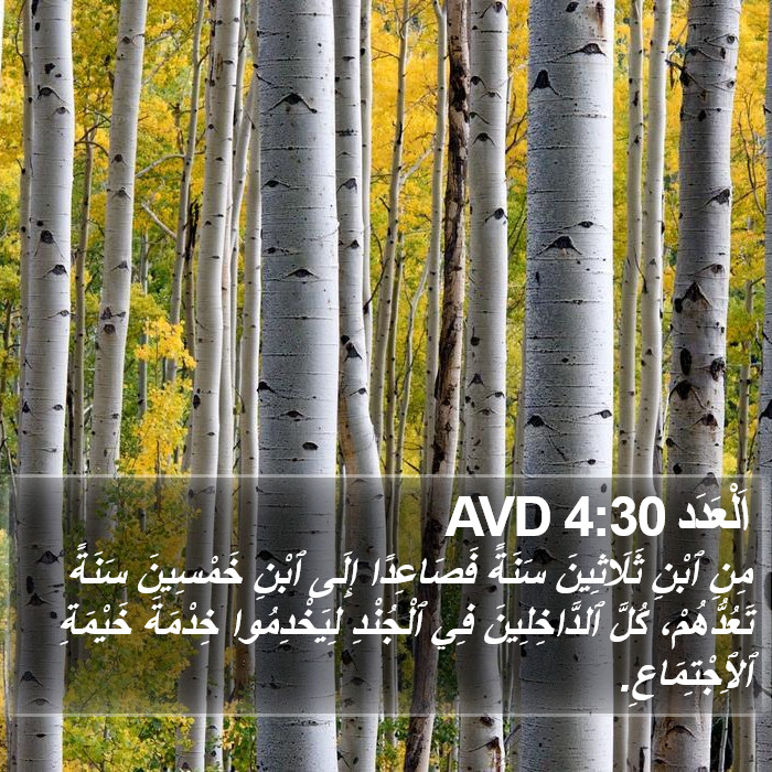 اَلْعَدَد 4:30 AVD Bible Study