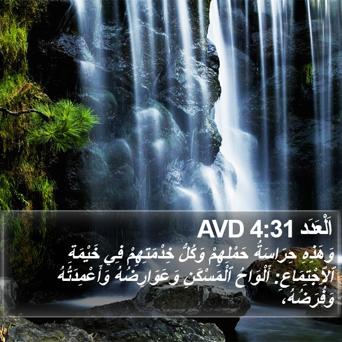 اَلْعَدَد 4:31 AVD Bible Study