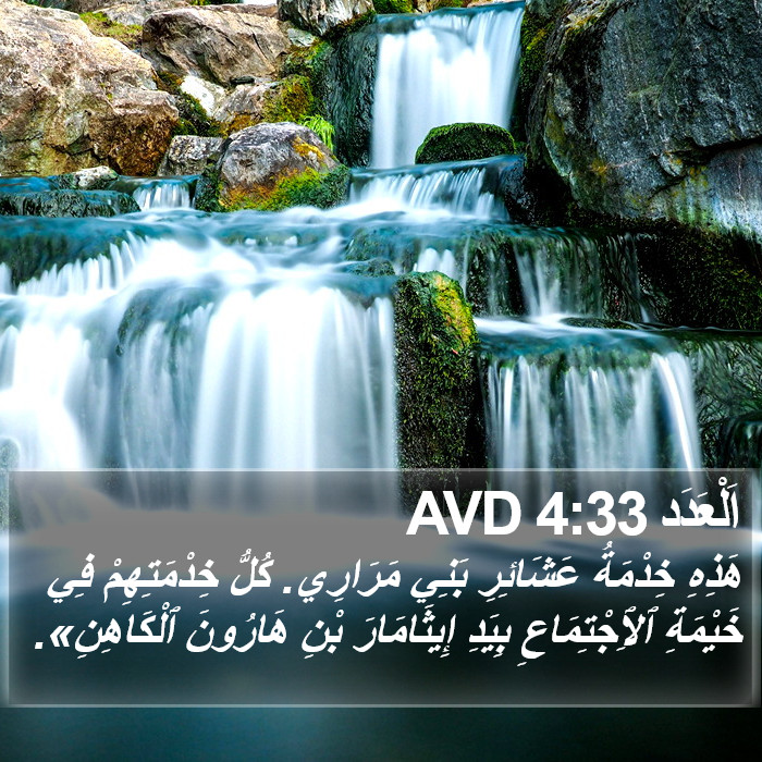 اَلْعَدَد 4:33 AVD Bible Study