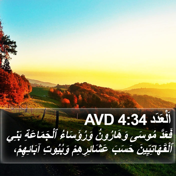 اَلْعَدَد 4:34 AVD Bible Study