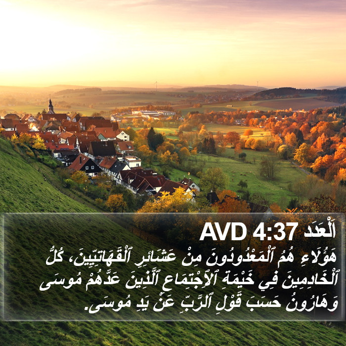 اَلْعَدَد 4:37 AVD Bible Study