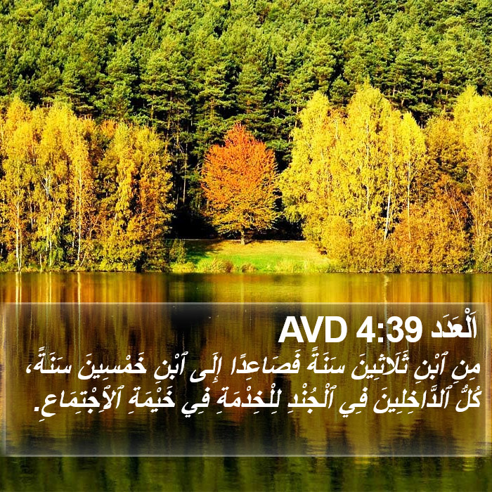 اَلْعَدَد 4:39 AVD Bible Study