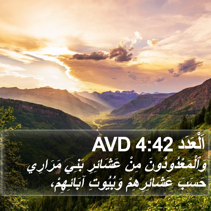 اَلْعَدَد 4:42 AVD Bible Study