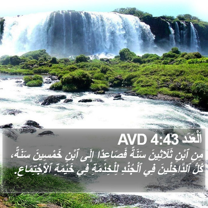 اَلْعَدَد 4:43 AVD Bible Study