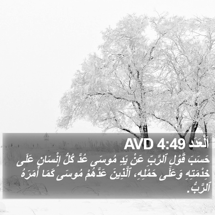 اَلْعَدَد 4:49 AVD Bible Study