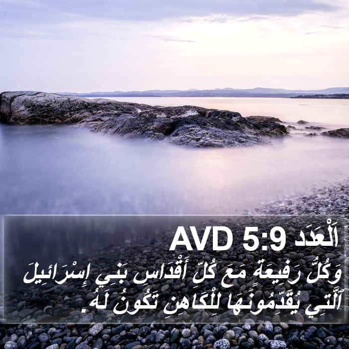 اَلْعَدَد 5:9 AVD Bible Study