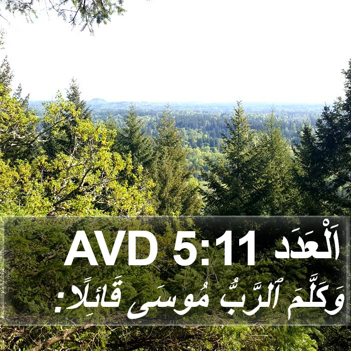 اَلْعَدَد 5:11 AVD Bible Study