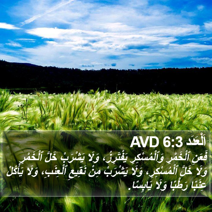 اَلْعَدَد 6:3 AVD Bible Study