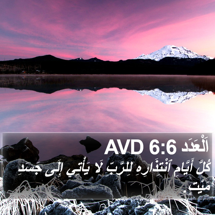 اَلْعَدَد 6:6 AVD Bible Study