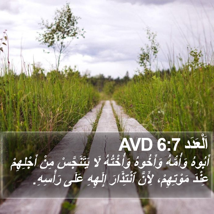 اَلْعَدَد 6:7 AVD Bible Study