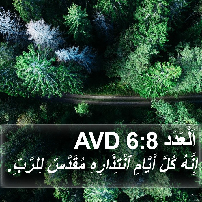 اَلْعَدَد 6:8 AVD Bible Study